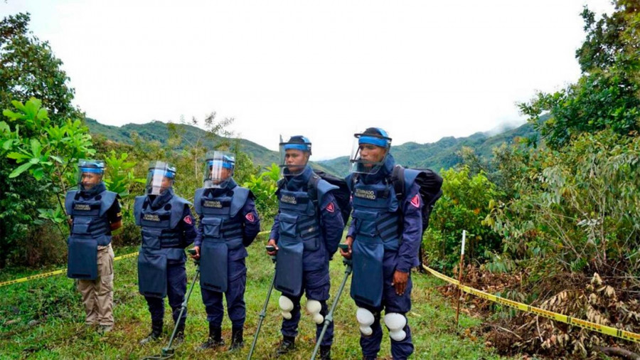 Desminadores del Ejército colombiano. Foto: Ejército colombiano