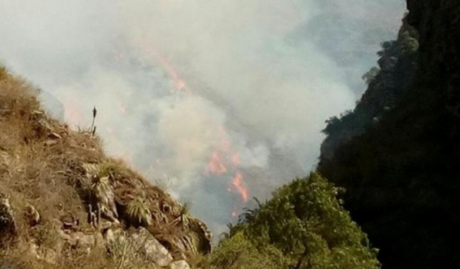 Incendio forestal en Tarija. Foto: Ministerio de Defensa de Bolivia.
