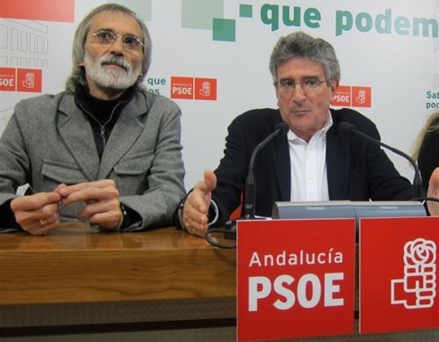 Pizarro PSOE