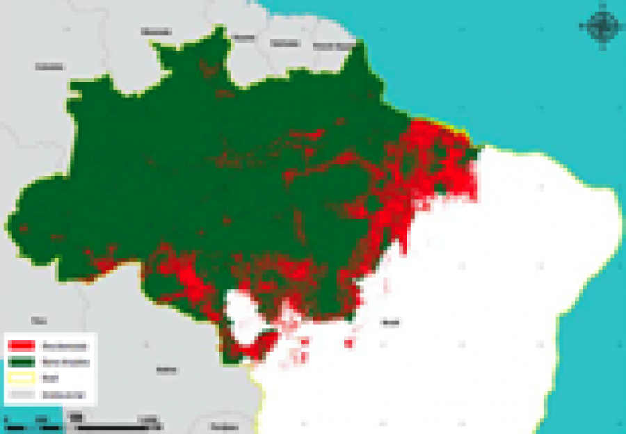 Ecologiablog deforestacion Amazonas