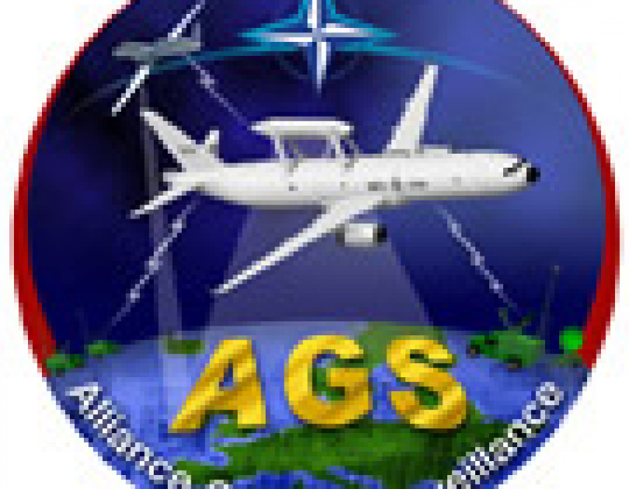 MIL NATO TIPS AGS Crest