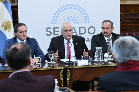 Taiana ante el Senado