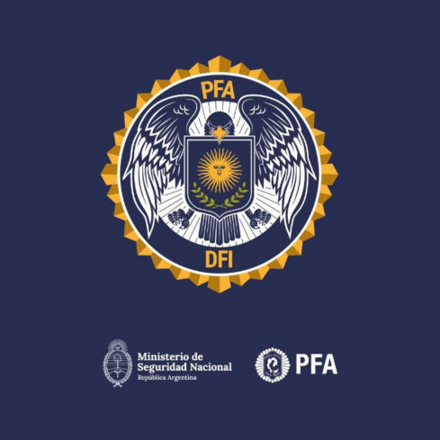 Logo DFI   PFA