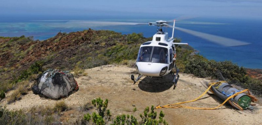 Helicoptero H125. Foto: Airbus