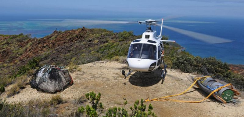 Helicoptero H125. Foto: Airbus