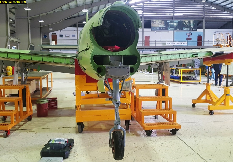 Tucano en Caman. Foto: Erich Saumeth C.