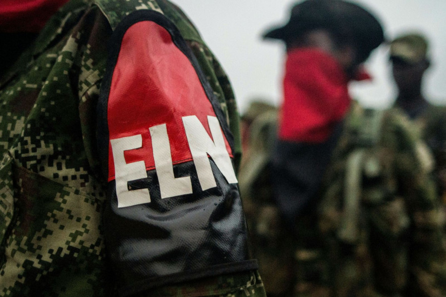 Eln afp 3 0 1