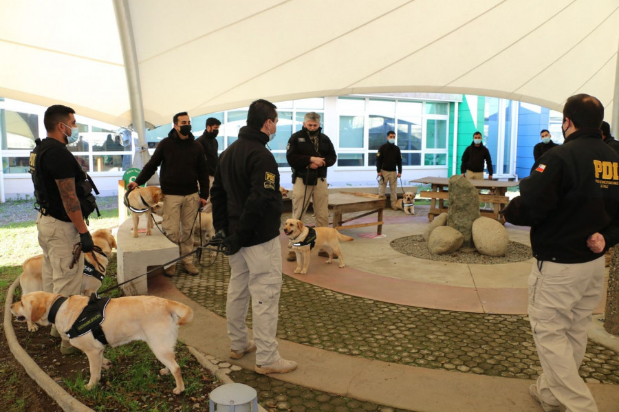 Los binomios realizan la capacitación en Valdivia, al sur del país. Foto: PDI