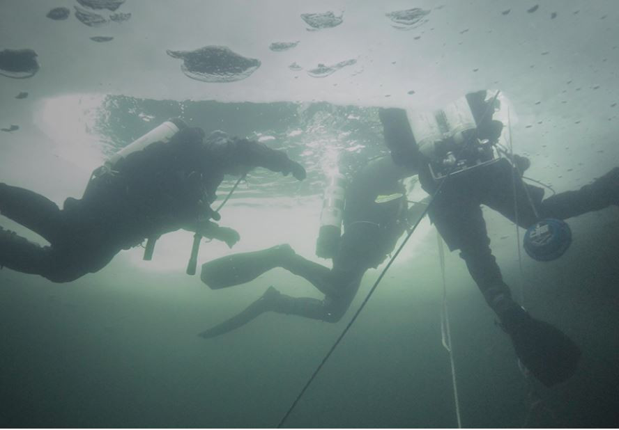Actividad submarina. Foto: EDA