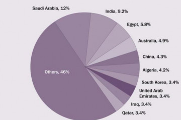 Principales importadores de grandes armas 2015-2019. Gráfico: Sipri