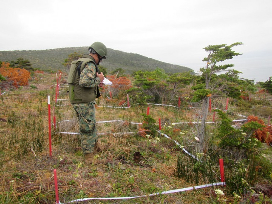 51.500 metros cuadrados quedaron libres de la amenaza de minas terrestres. Foto: Ejército de Chile