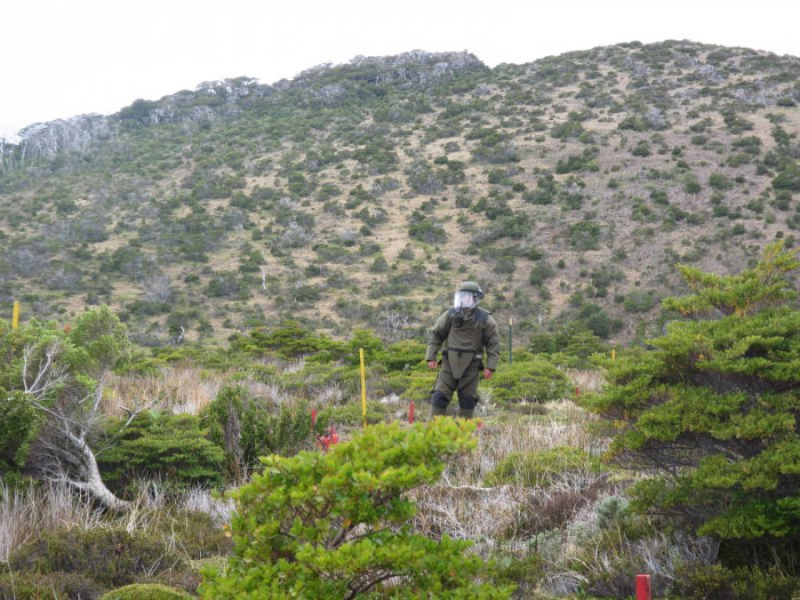 El personal removerá un total de 267 minas antipersona ubicadas en el campo minado 104. Foto: Armada de Chile