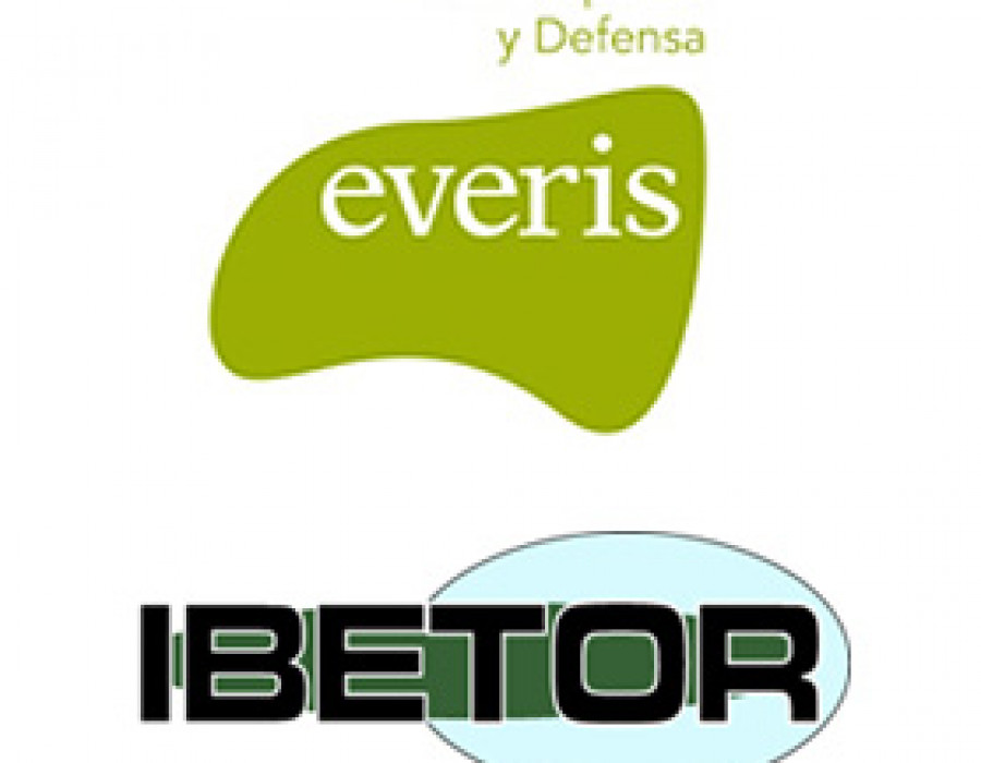 Everis ibetor