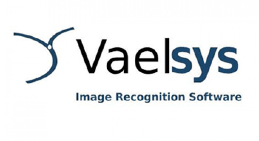 Vaelsys logo