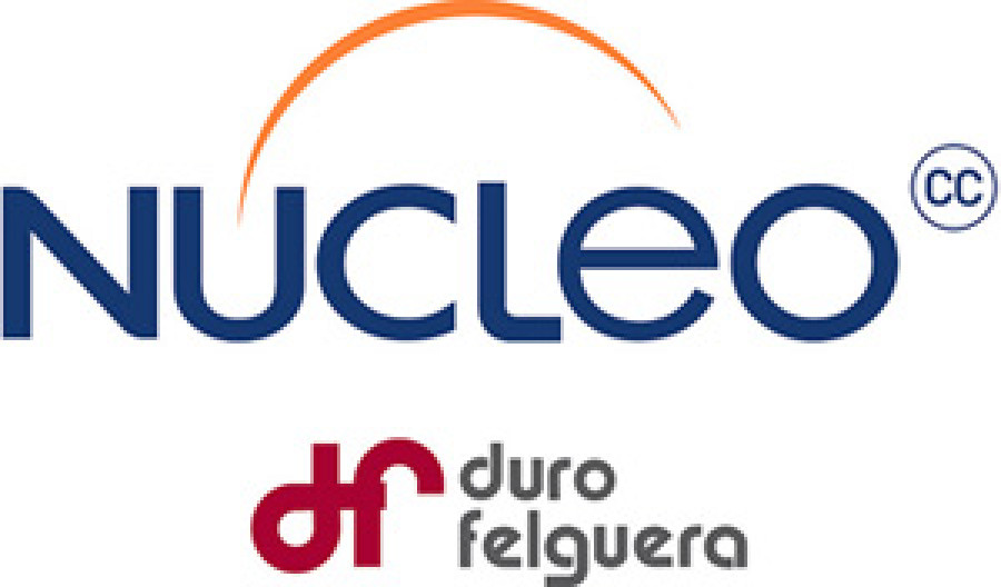 Logo Nucleo