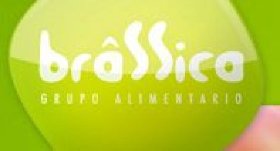 Brassica