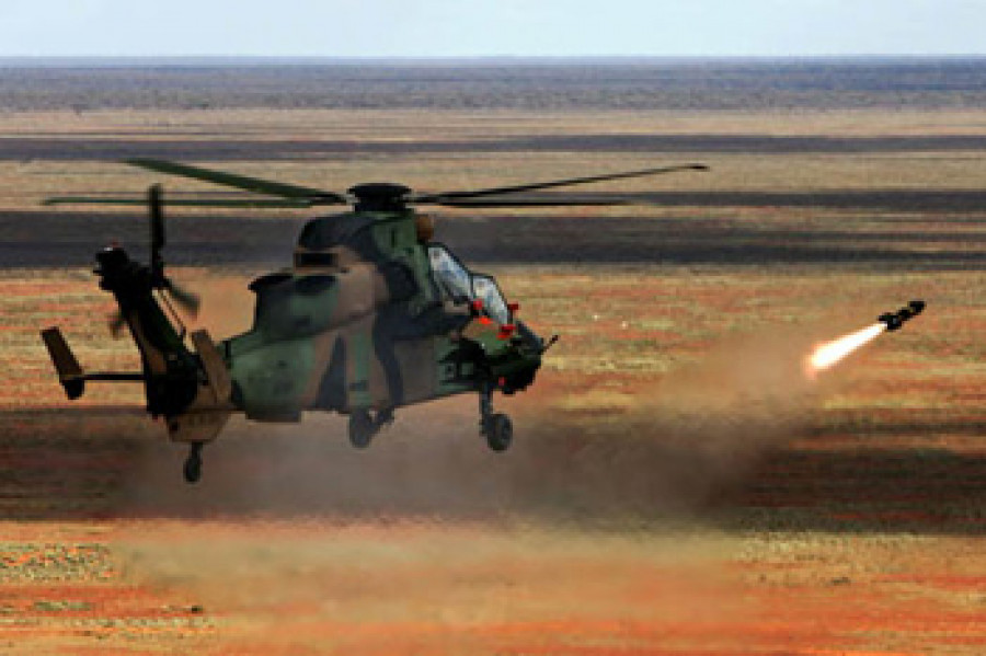 Australia tigre