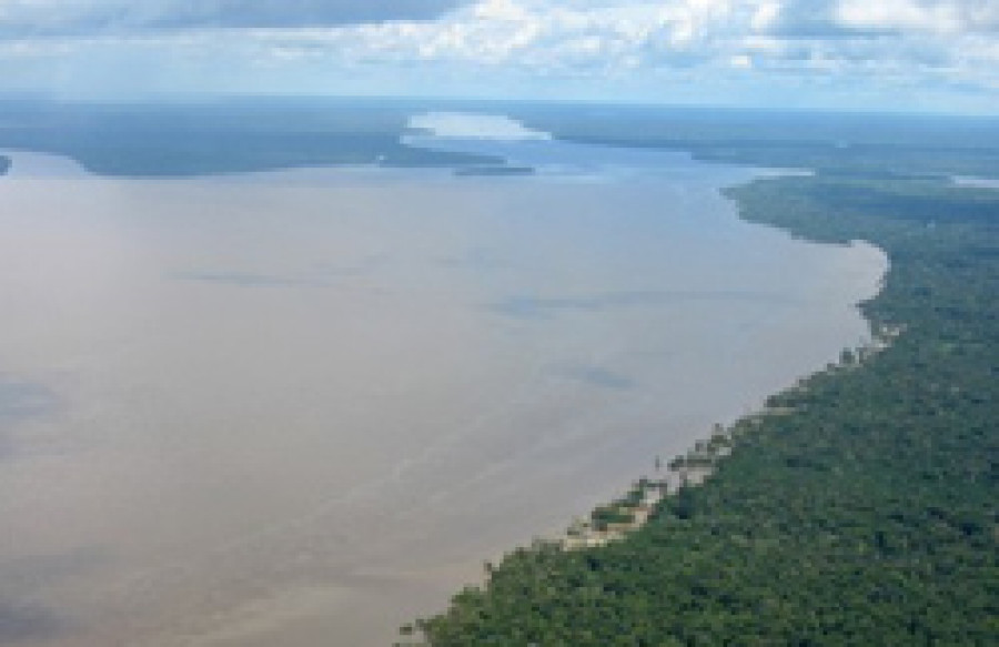 BahiaGuajara