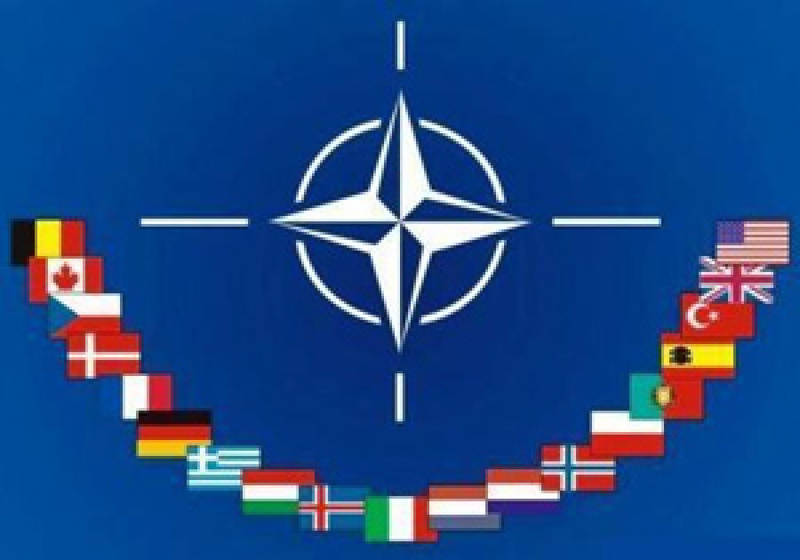 1 LOGO OTAN