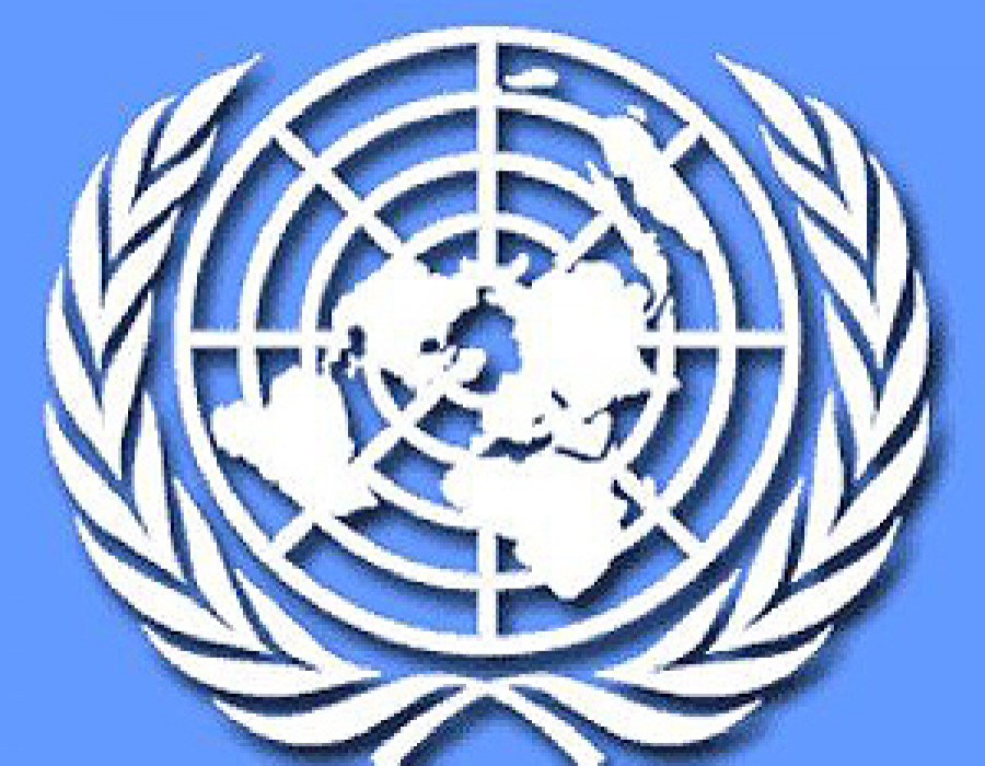 Logo ONU