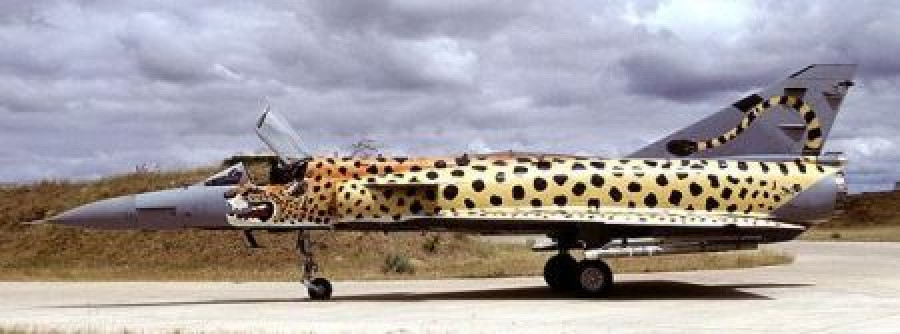 CheetachC
