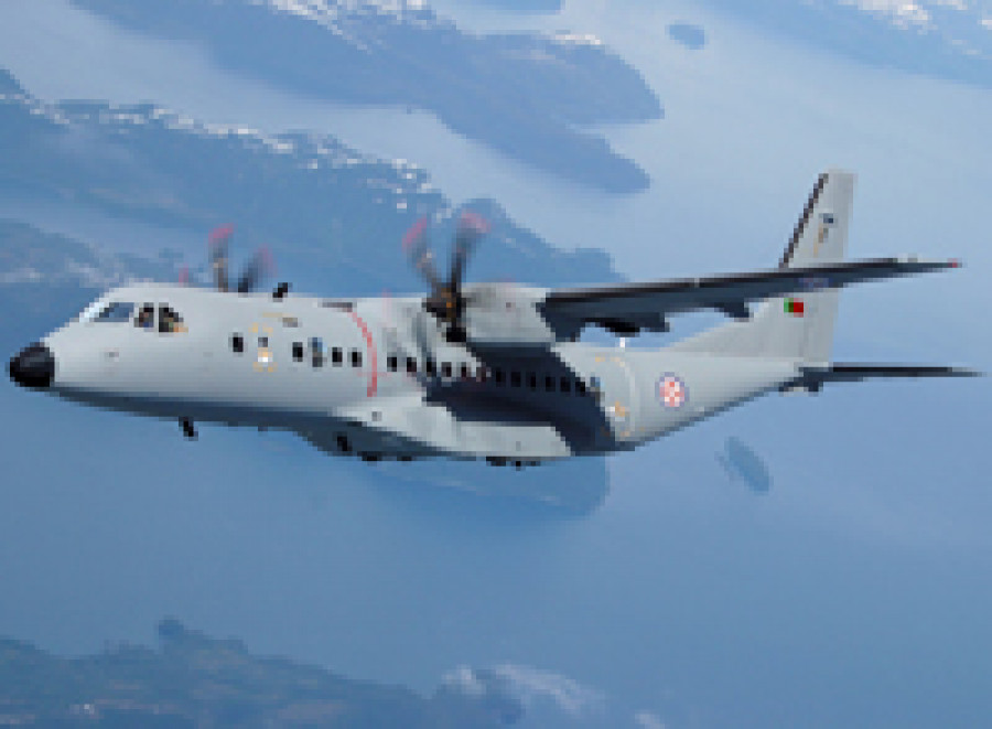 C 295tratada