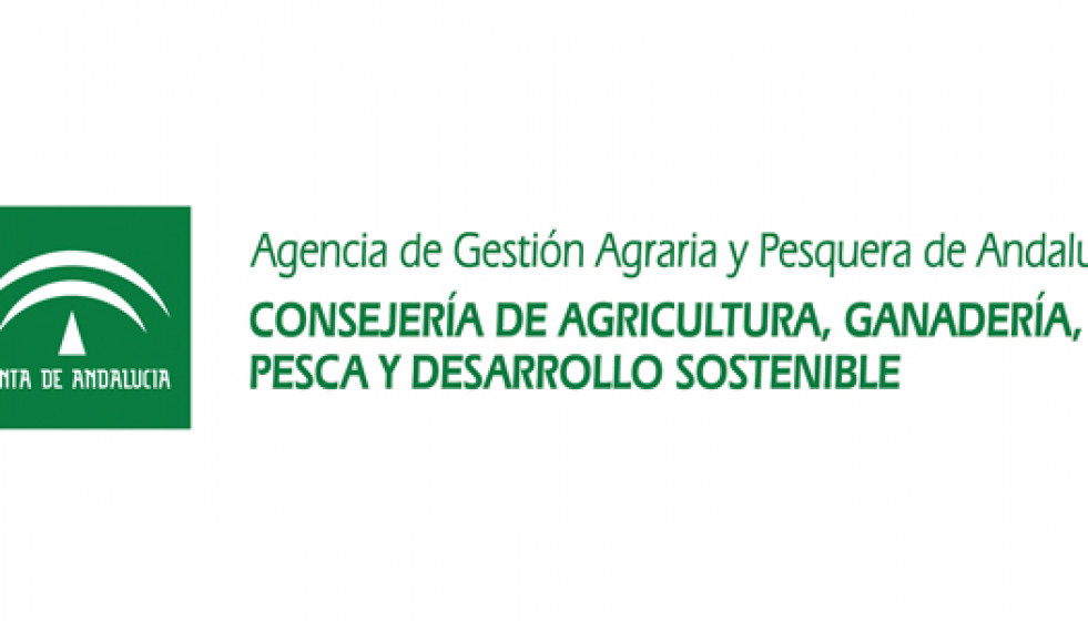 La Junta de Andalucía abre la convocatoria de su nuevo proyecto de innovación con UAS