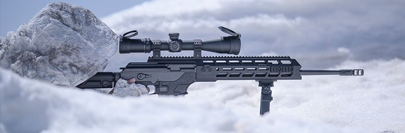 Sniper Rifle ACE abr2022 IWI