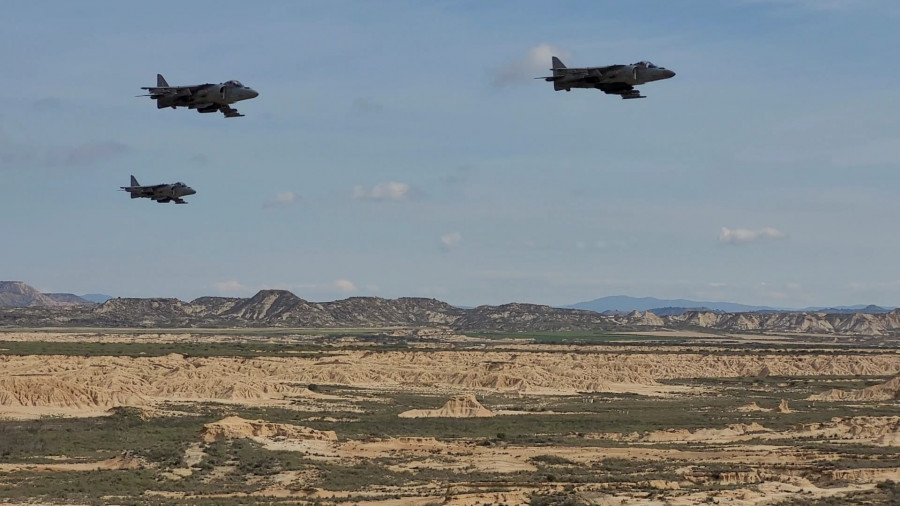 Cazas harrier en las bardenas reales