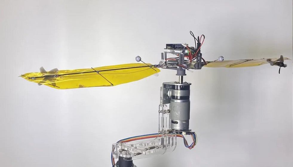 China diseña un dron inspirado en las semillas de un arce para consumir menos energía