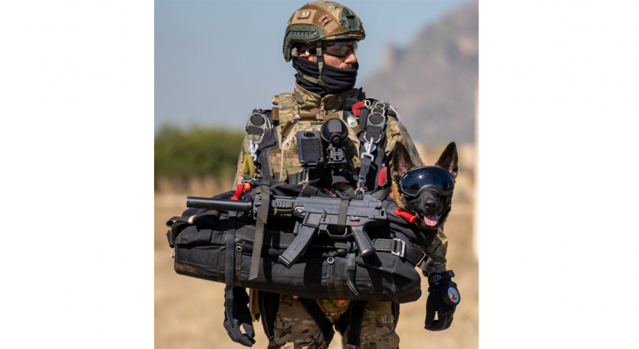 Primer salto de un paracaidista con perro ejercito de tierra