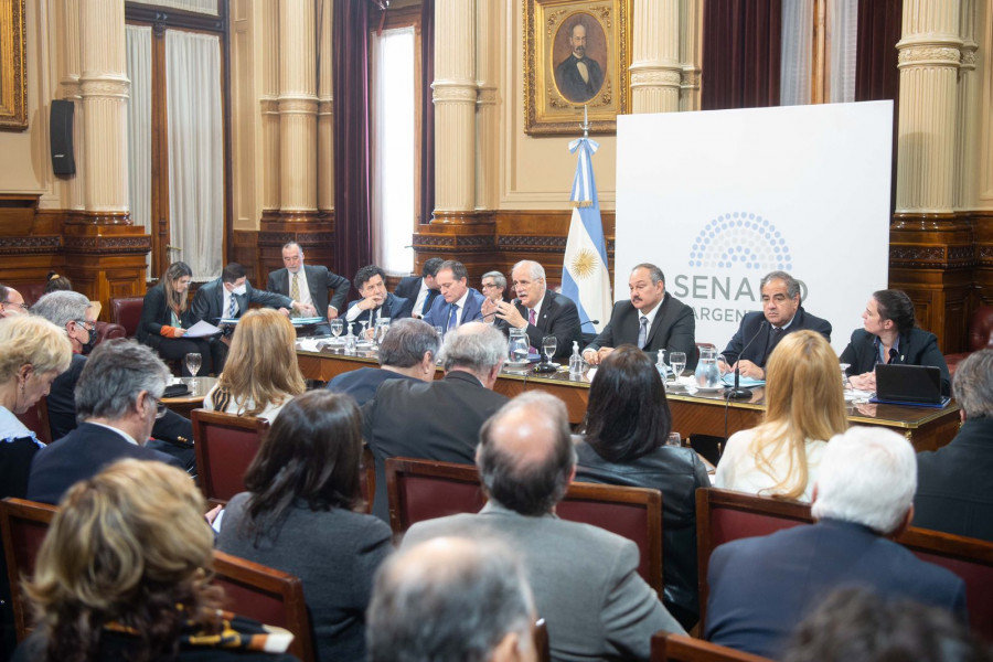 Taiana en la comision de defensa del senado 5