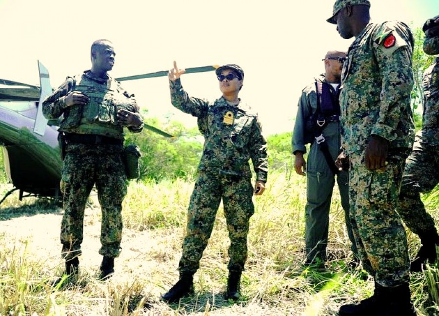 Jamaica FzaDefensa inspeccion JDF