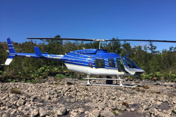 JC Bell 206