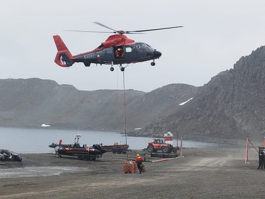 Dauphin en la Antártica Foto Armada de Chile