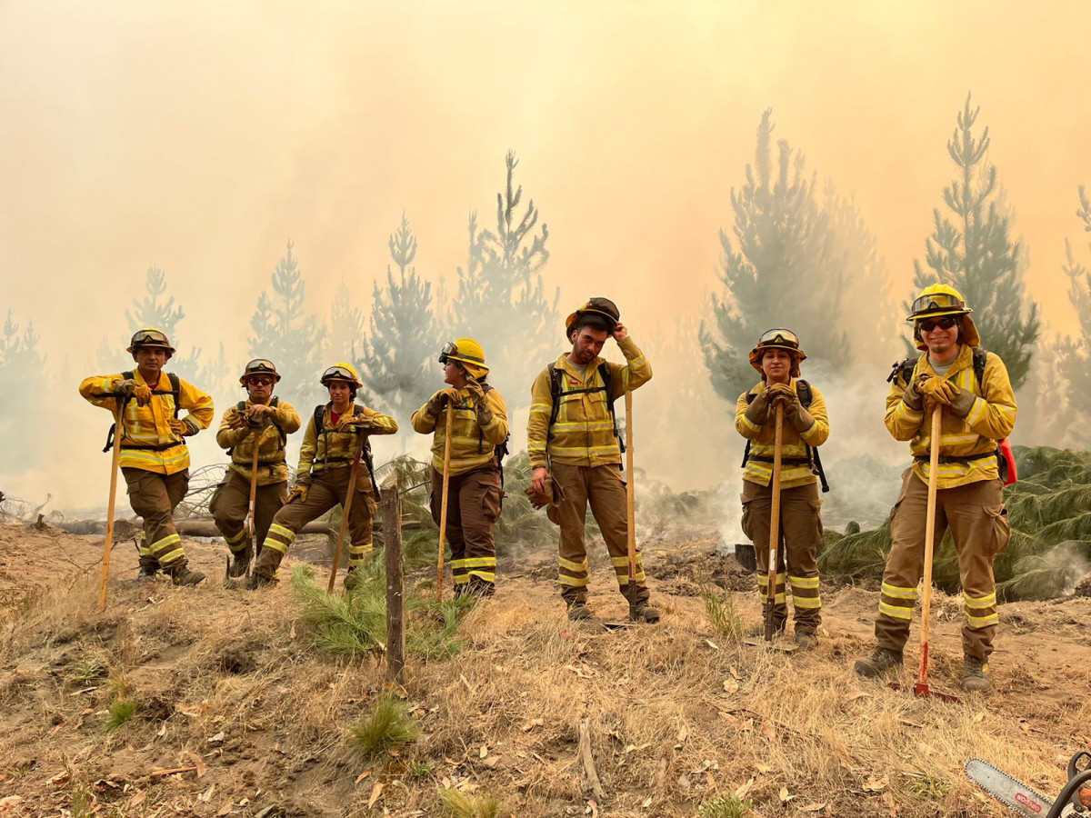 Brigadistas en el combate de incendios forestales Conaf