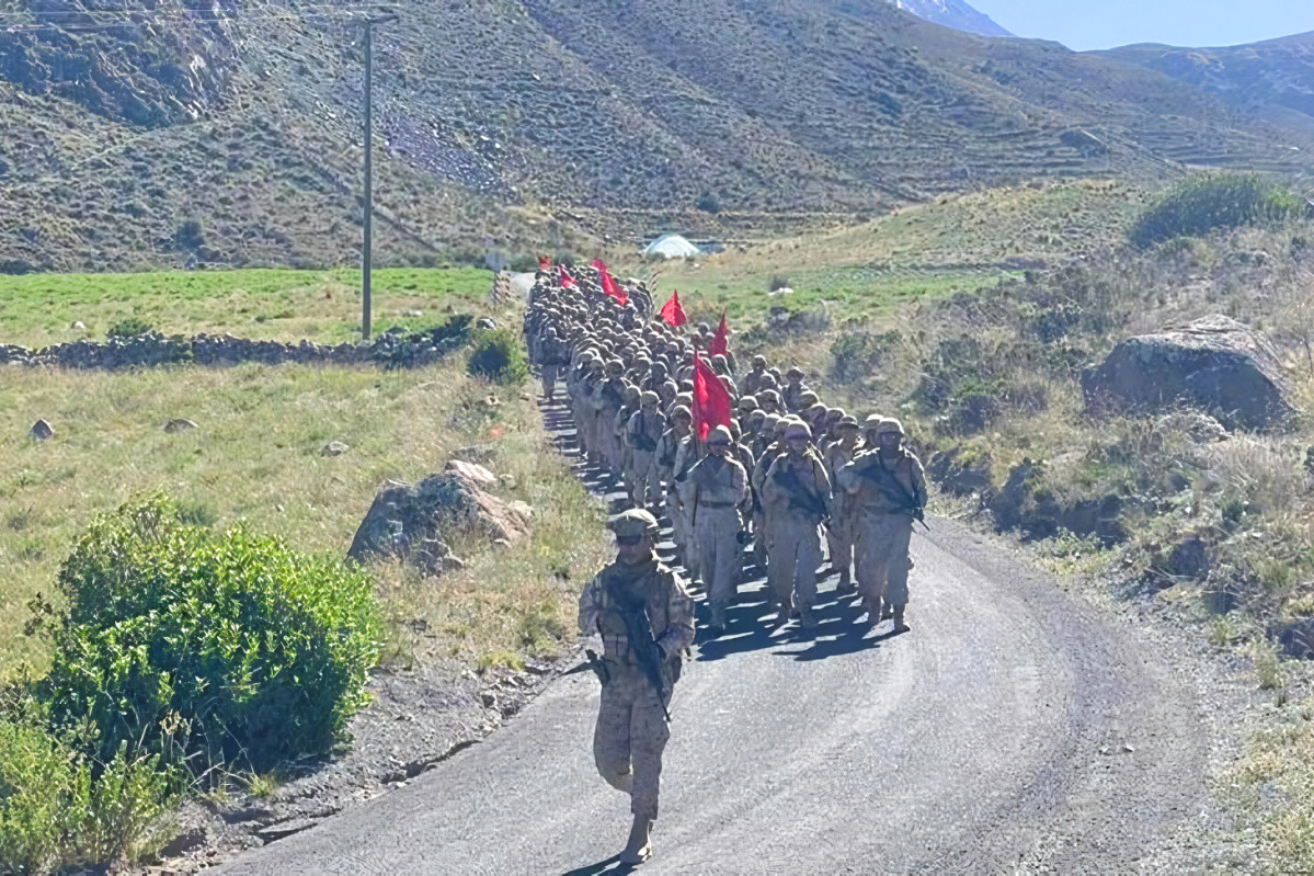 Brimot Huamachuco en el Altiplano de Putre Foto Eju00e9rcito de Chile