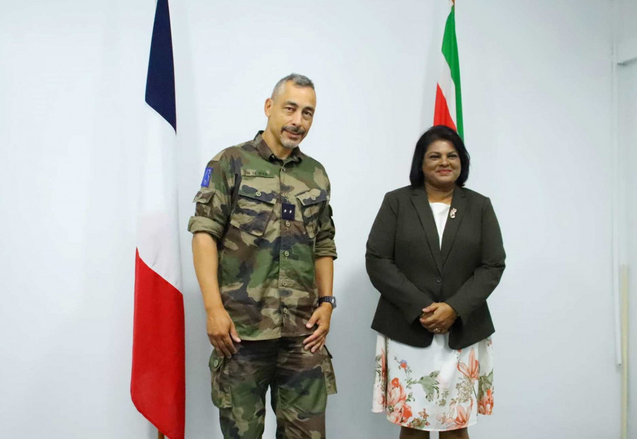 Surinam Defensa Francia coop MDS