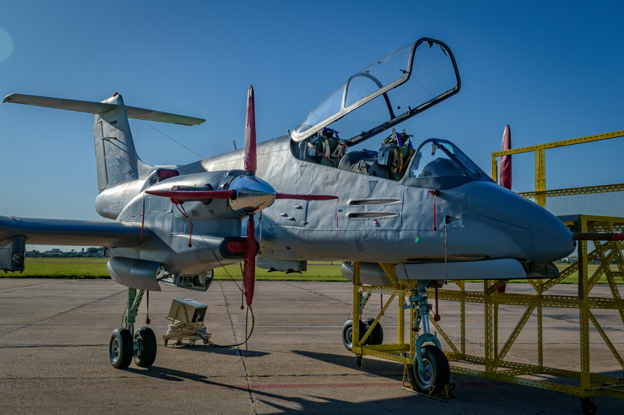 DSC 8819