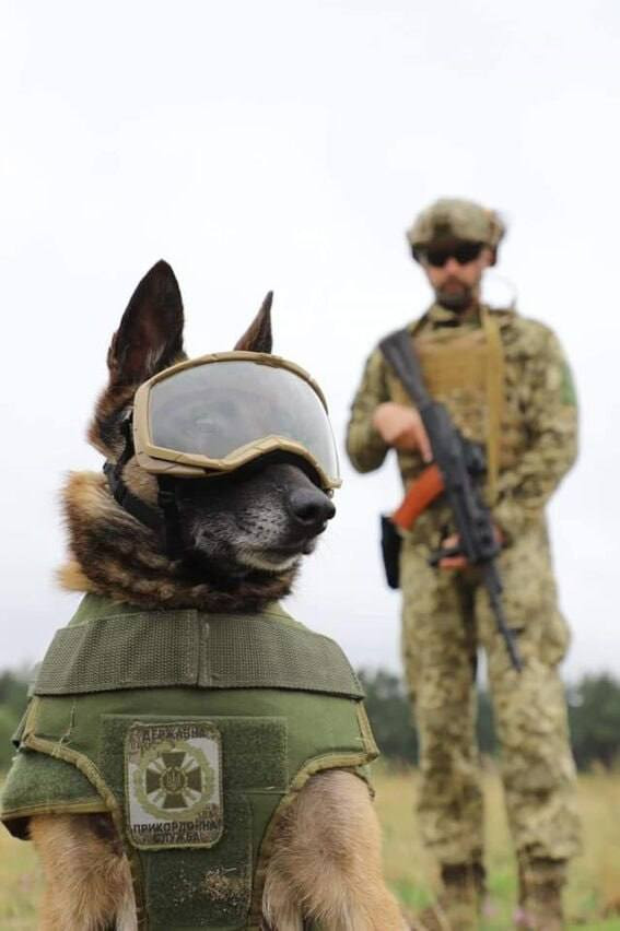 Foto de Servicio Estatal de Fronteras Fuente Mindef Ucrania