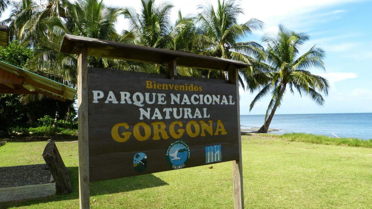 Gorgona 2. Foto PNN Gorgona