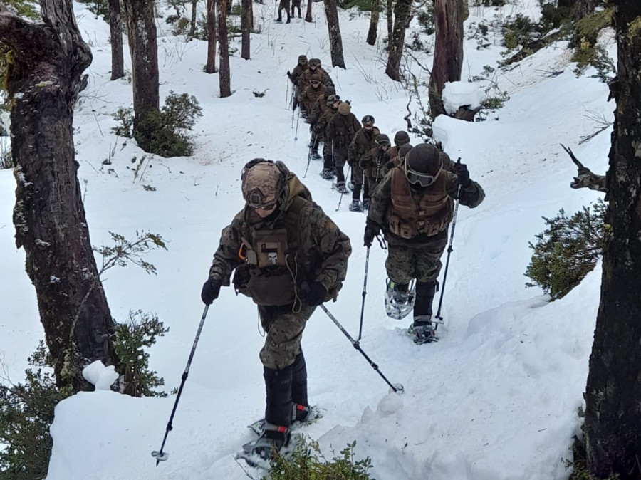Soldados conscriptos de la Compañía de Ingenieros de Montaña N° 12 Tronador efectuando desplazamiento con esquí en el área de Antillanca Firma Destacamento de Montaña N°9 Arauco del Ejército 