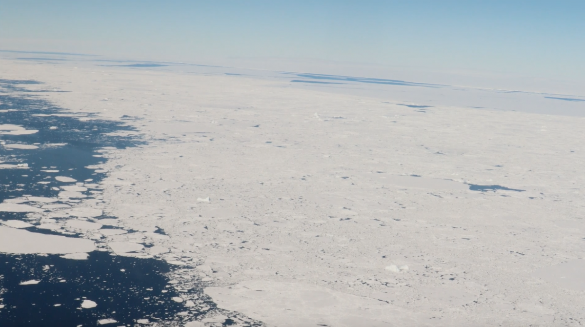 Escombros de hielo en el Mar de Bellingshausen en el Territorio Chileno Antártico