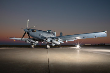 SKY WARDEN UPDATED 812022