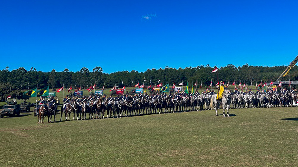 Cavalos 2