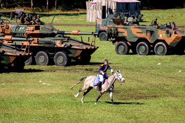 Cavalaria2