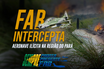 Fab intercepta