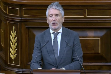 Grande Marlaska en el Congreso