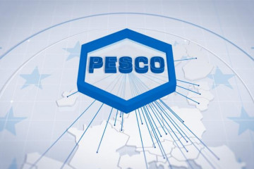 Imagen. Pesco