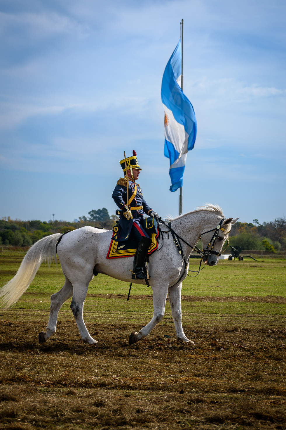 215 años ejercito argentino (7)